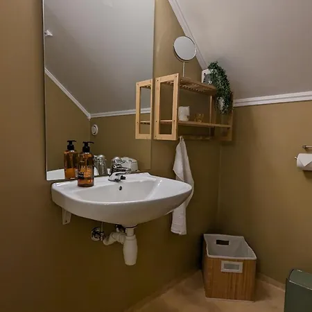 Apartment Townhouse In Central *